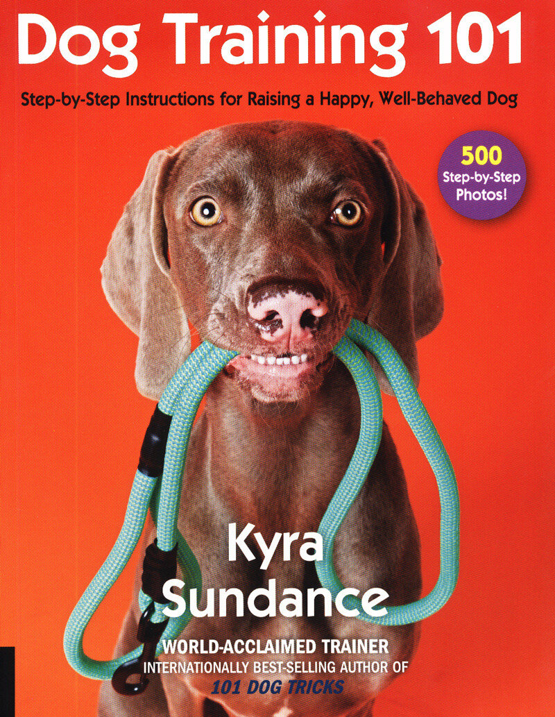 Cover of Dog Training 101 by Kyra Sundance